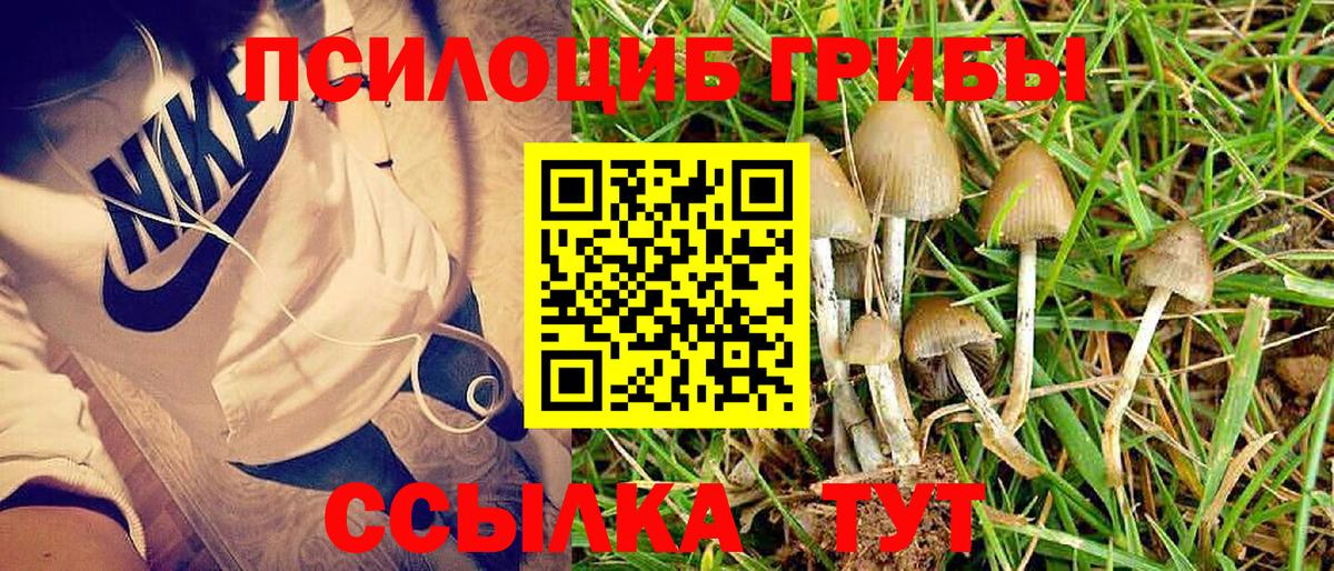 Псилоцибиновые грибы MAGIC MUSHROOMS  Галлюциногенные грибы мухоморы  Свободный  Вход с VPN 