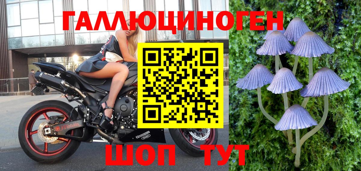 Галлюциногенные грибы GOLDEN TEACHER Свободный